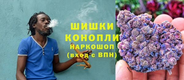 mdpv Белокуриха