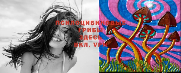 а пвп мука Богородицк
