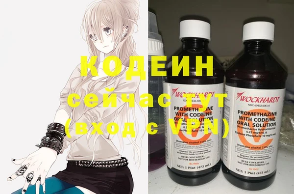 дживик Богородск