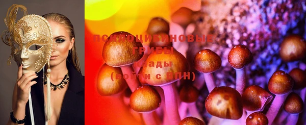 дживик Богородск