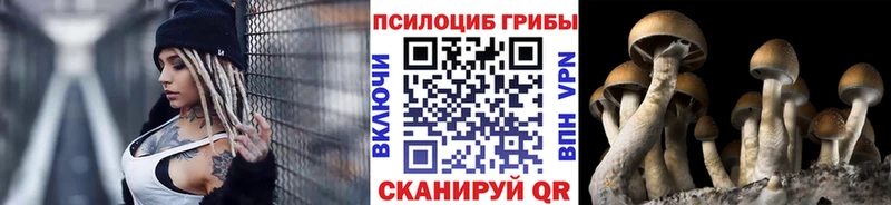 Галлюциногенные грибы мицелий  Пенза 